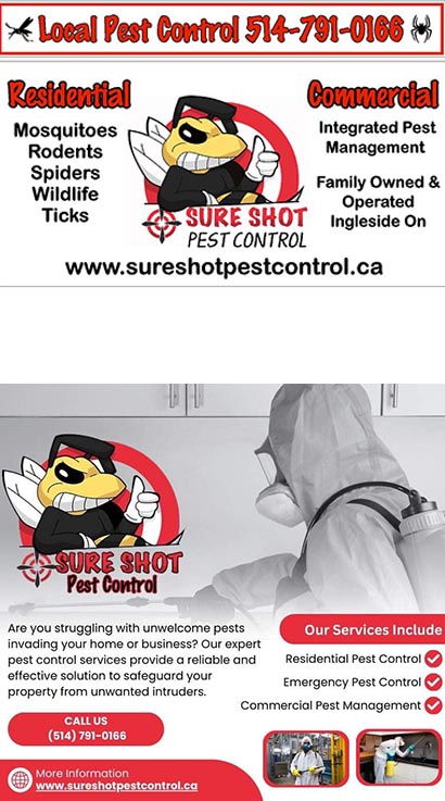 Sure Shot Pest Control owner at work